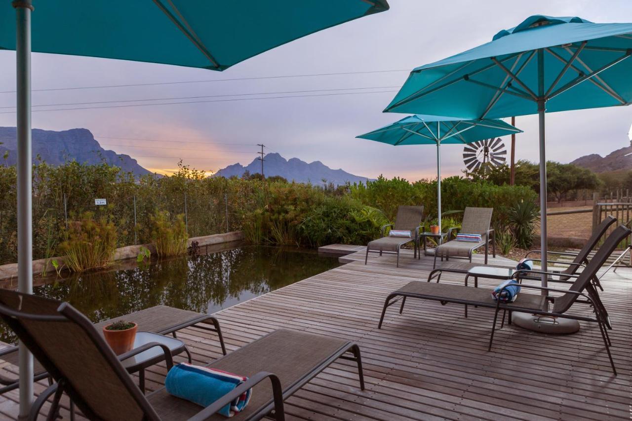Heuwelsig Cottages Franschhoek Extérieur photo