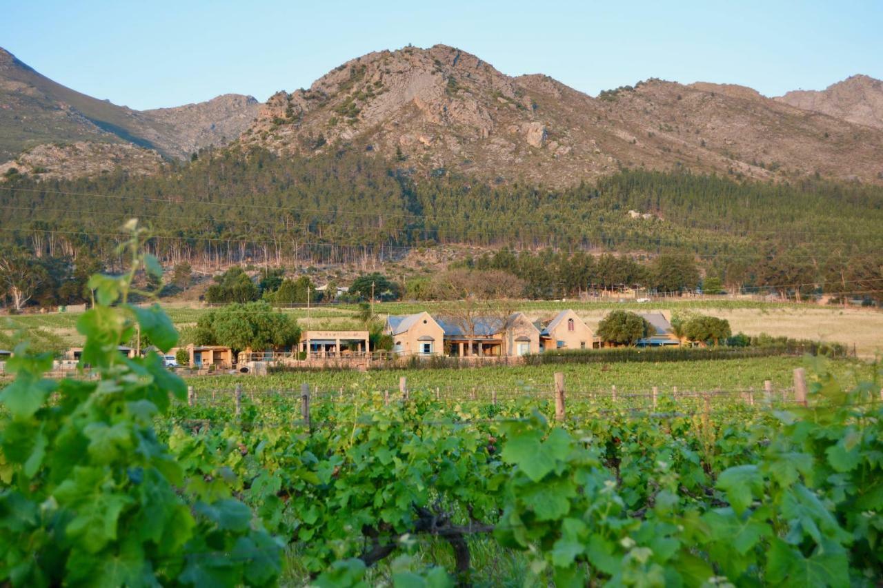Heuwelsig Cottages Franschhoek Extérieur photo